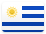 Uruguay country flag